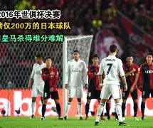 开云体育官网-周启豪对奥恰洛夫的比赛视频回放完整